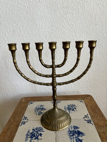 Menora armiger - menora, 7